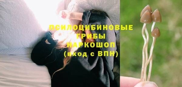 гидра Иннополис