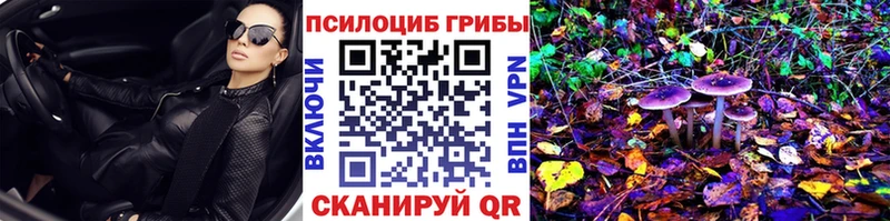 Купить где Великие Луки Псилоцибиновые грибы прущие грибы